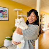 Feline-Focused Human-Approved Cat Care