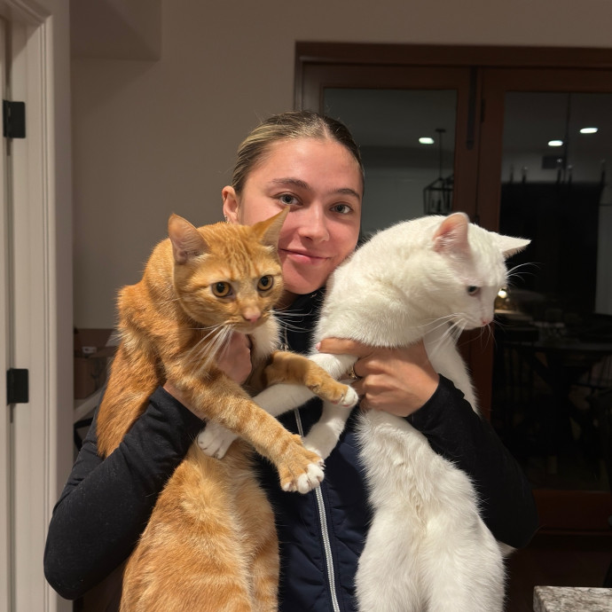 Kylie's Cat Sitting I Love Cats