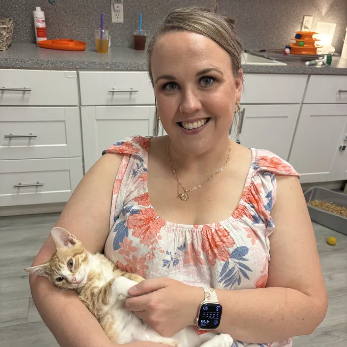 Purrfect Cat Sitter