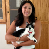 Cat Companion