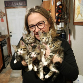 From Purrs To Insulin I've Got It