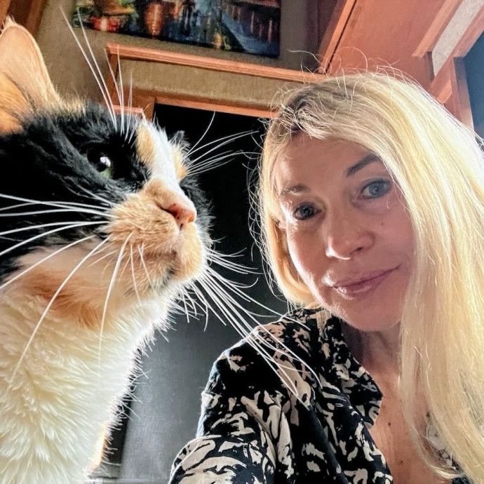 Cats Are My Spirit Animals