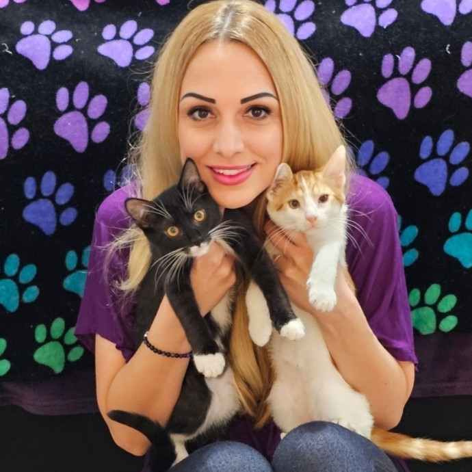 Holly's Lil Feets Cat Sitting