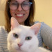 Experienced Cat Sitter  Animal Lover