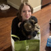 Your Friendly Neighborhood Catsitter