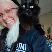 The Egyptians Were Right Cats Are Gods
