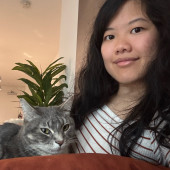 Your Kitty's Purrfect Butler