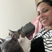 Cat Lover Offering Sitting Services