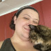 Reliable Cat Care In Sevier County Area
