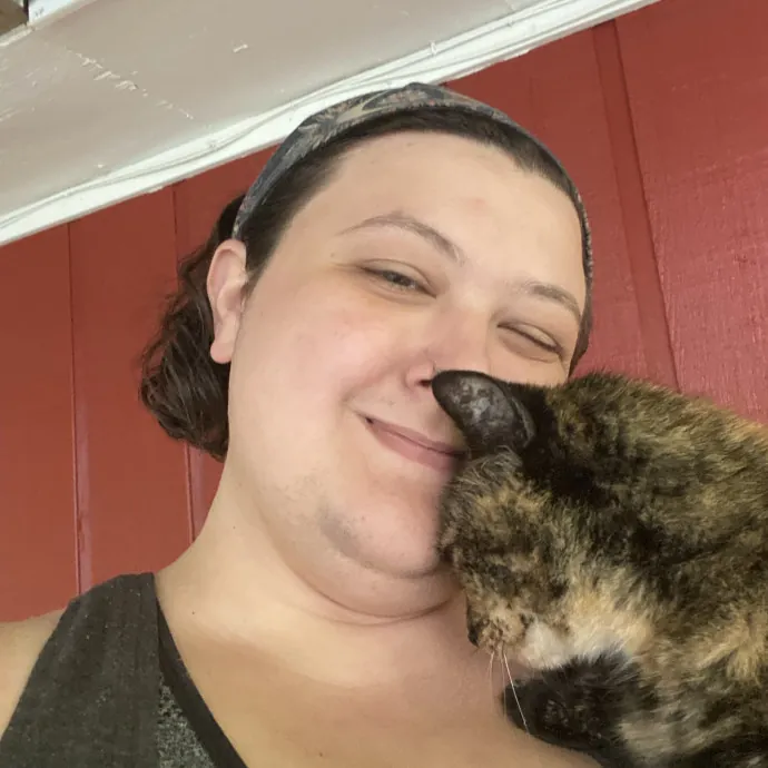 Reliable Cat Care In Sevier County Area