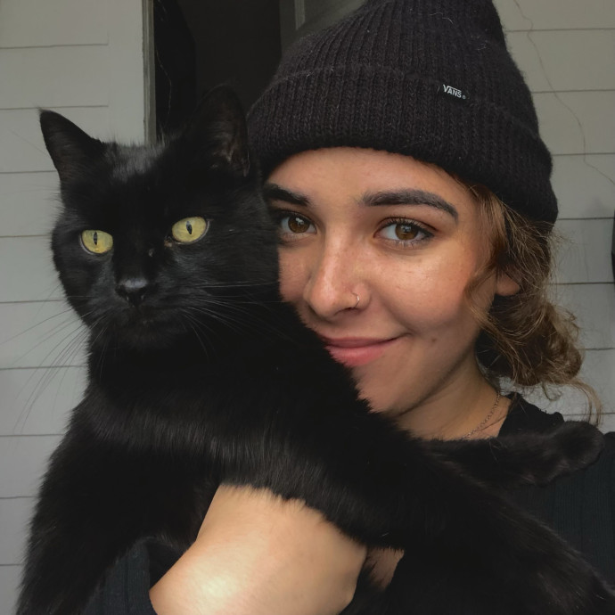 Your Cats Temporary Bff