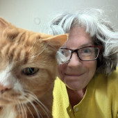 9 Years Of Loving In-Home Cat Care