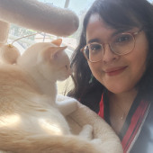 Quality Kitty Care