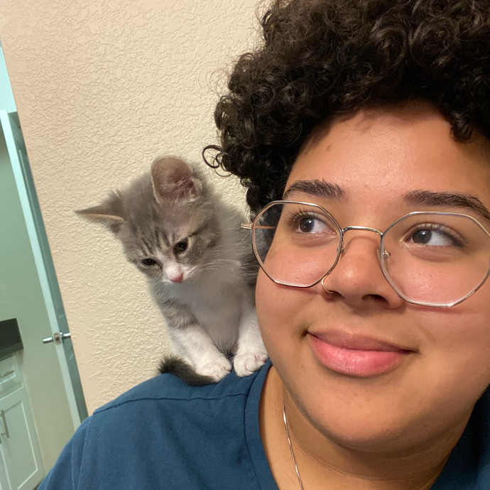 A Cat Mom With A Lot Of Love To Give A Cat Mom With A Lot Of Love To Give