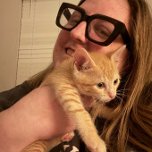 Cat Mom With Lots Of Experience