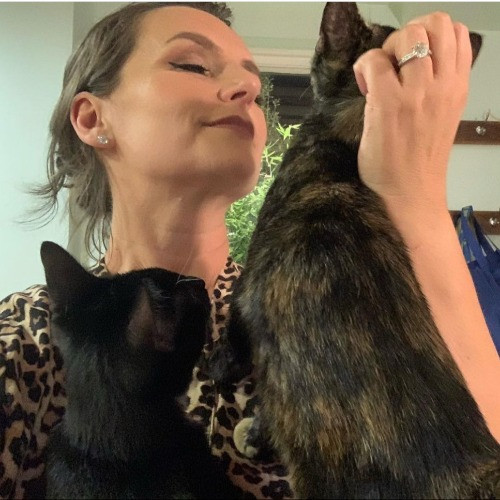 Brooklyn Paws Brooklyn Paws