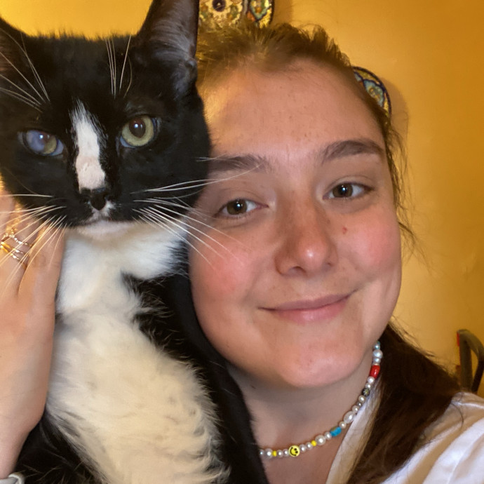 Your Cat's New Favorite Cat