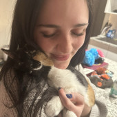 Loving  Experienced Cat Sitter