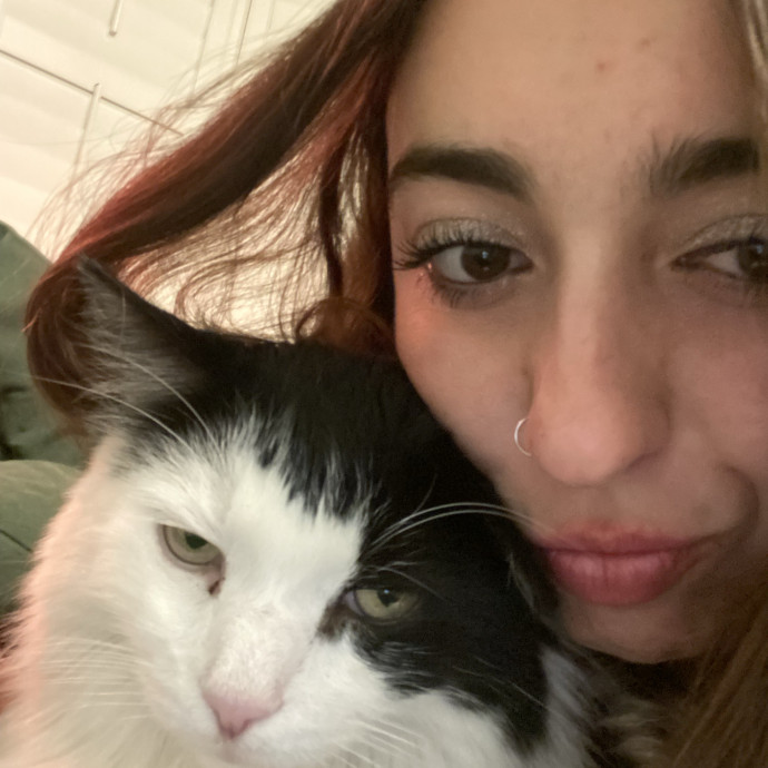Experienced Vet Med Cat Sitter