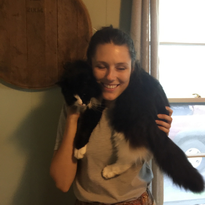 Loving Attentive Care For Your Cats