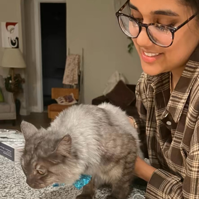 Experienced Cat Care  Daily Updates