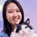 Full-Time Catsitter - 4 Yrs Experience