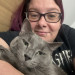 Purrfect Cat Sitter