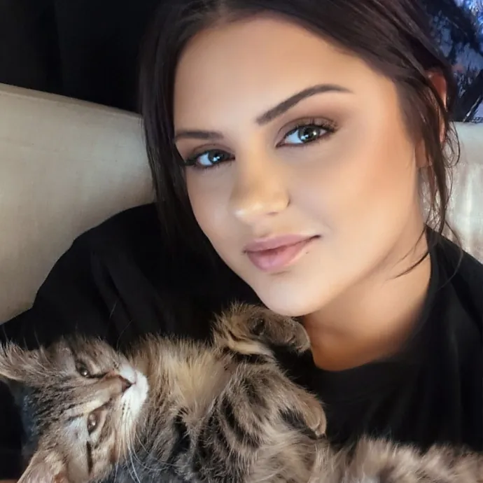 Your Cat's New Favorite Visitor