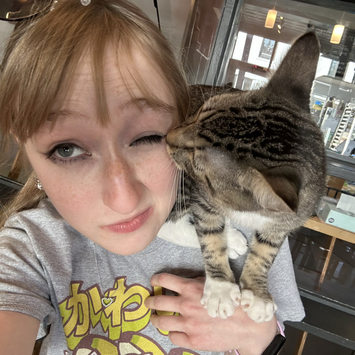 Cats Should Rule The World