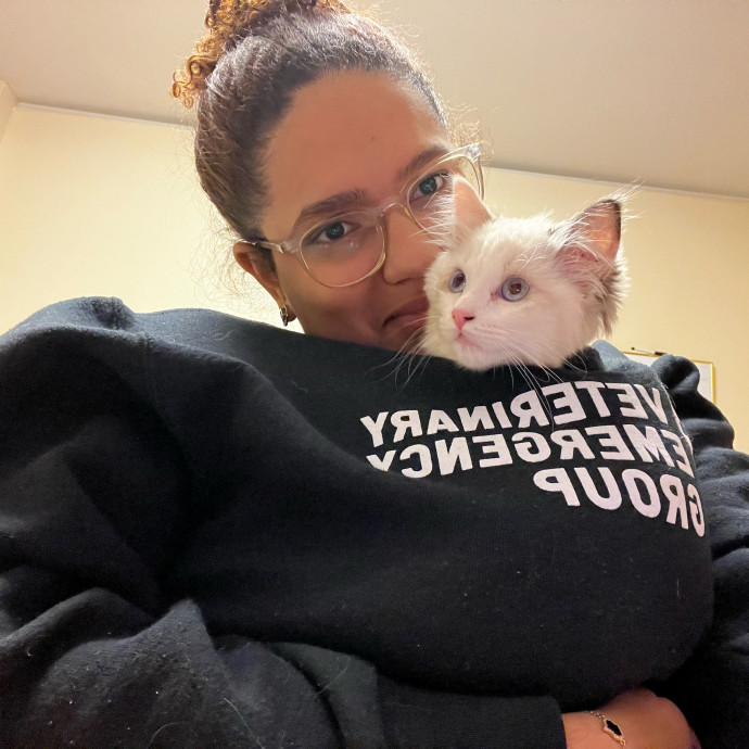 Wfh Your Cat's New Bestie