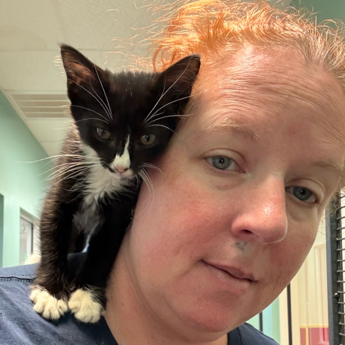Lifelong Cat Person Lifelong Cat Person