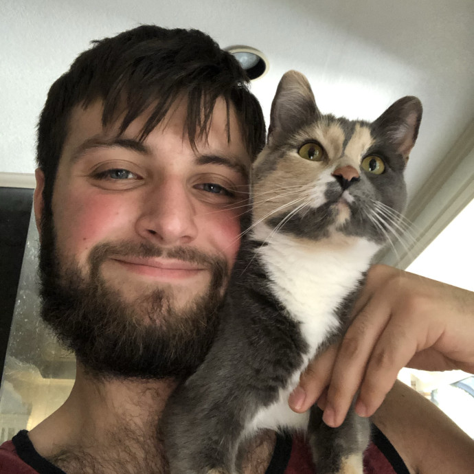 Experience Caring For Cat's Of All Ages