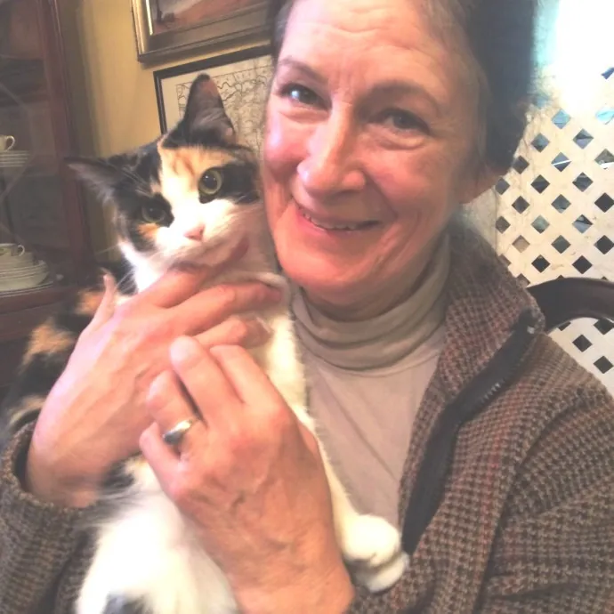 Capital Catsitter