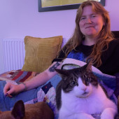 Experienced Cat Owner And Lover Experienced Cat Owner And Lover