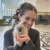 Weekend Cat Sitter - Montrose