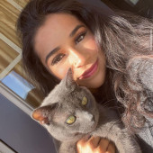 Pur-Fessional Kitty Carer