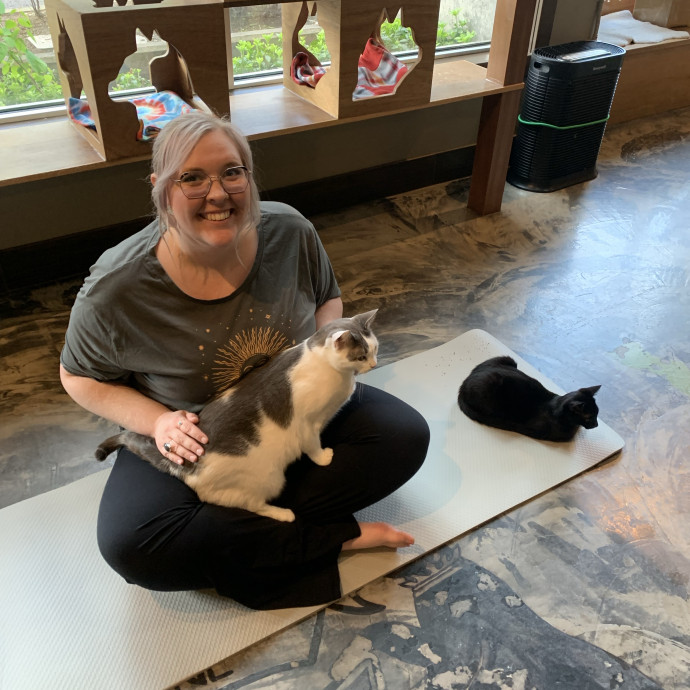 Your Cats New Purr-Fect Pal