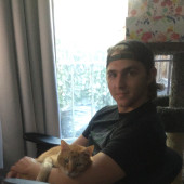 Your Cat's New Best Friend