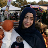 Trusted Cat Lover With 10 Years Skill