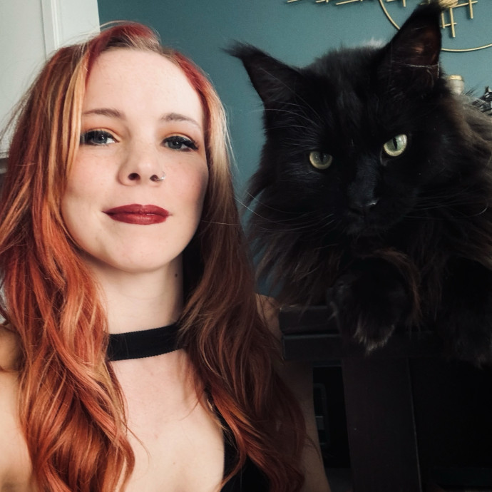 The Cat Collective