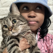 Feline Friend And Sitting Service