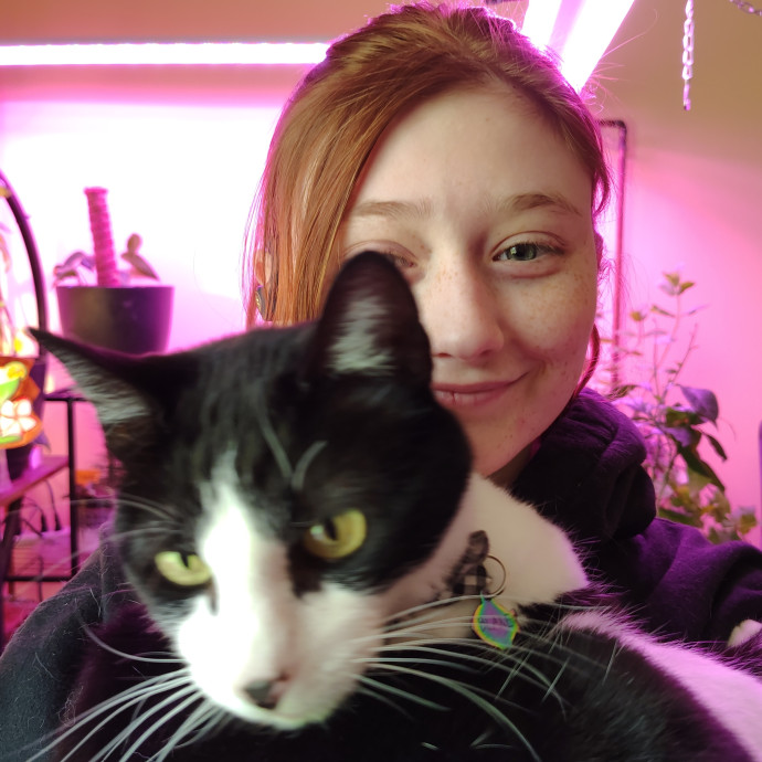 Pettit Is Purrfect For Your Cats