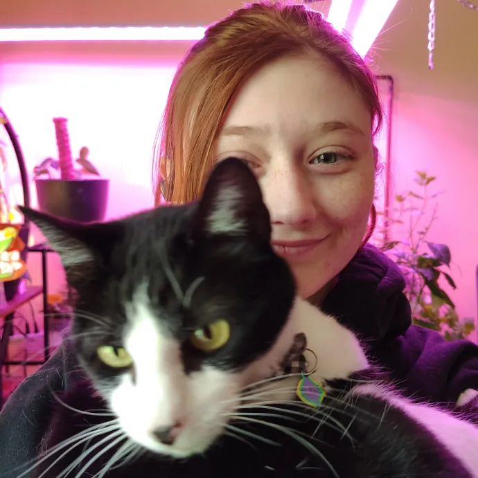 Pettit Is Purrfect For Your Cats
