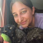 Kat's Kitty Sitting Service
