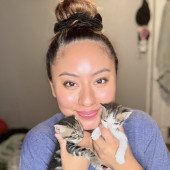 Experienced Cat Foster  Loving Sitter