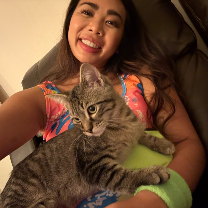 Kat For Your Cats Kat For Your Cats