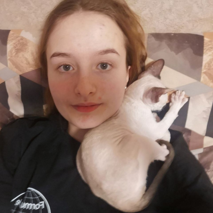 Attentive Cat Care You Can Trust