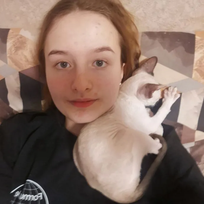 Attentive Cat Care You Can Trust