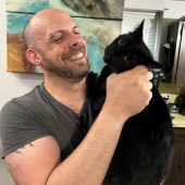 Kyle's Kitty Care