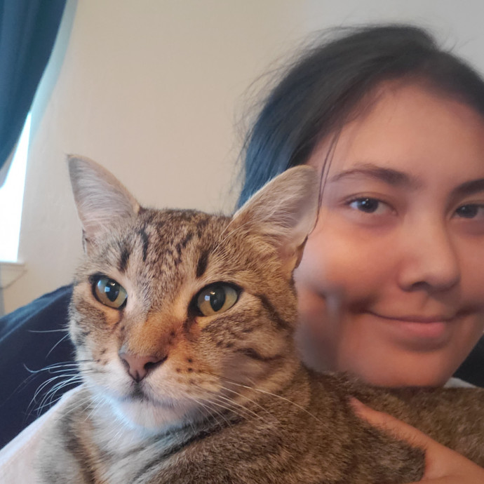 Happy Cats Guaranteed